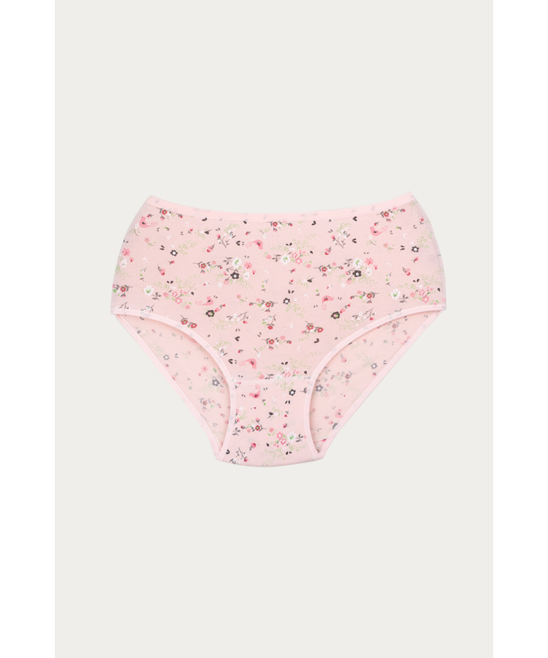 شد 6 حبة كيلوت نسائي صناعة تركية ماركة جيلان مزهر قطن 100% كود 144 شد 6 حبة كيلوت نسائي صناعة تركية ماركة جيلان مزهر قطن 100% كود 144