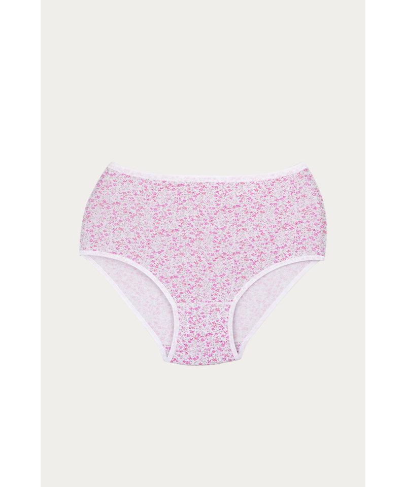 شد 6 حبة كيلوت نسائي صناعة تركية ماركة جيلان مزهر قطن 100% كود 144 شد 6 حبة كيلوت نسائي صناعة تركية ماركة جيلان مزهر قطن 100% كود 144