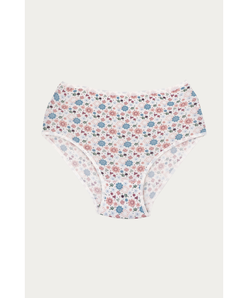 شد 6 حبة كيلوت نسائي صناعة تركية ماركة جيلان مزهر قطن 100% كود 144 شد 6 حبة كيلوت نسائي صناعة تركية ماركة جيلان مزهر قطن 100% كود 144