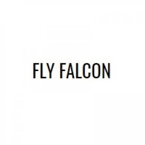 FLY FALCON