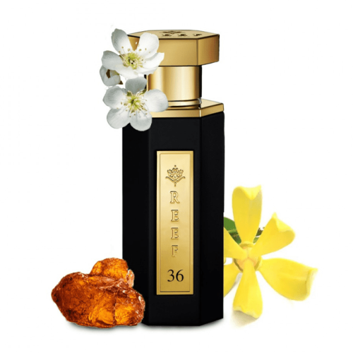 عطر ريف 36 من ريف العطور - او دو برفيوم |  100ml
