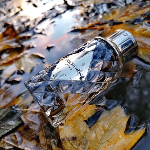 عطر بليس فيندوم من بوشرون للنساء - او دي بارفيوم |  100ml