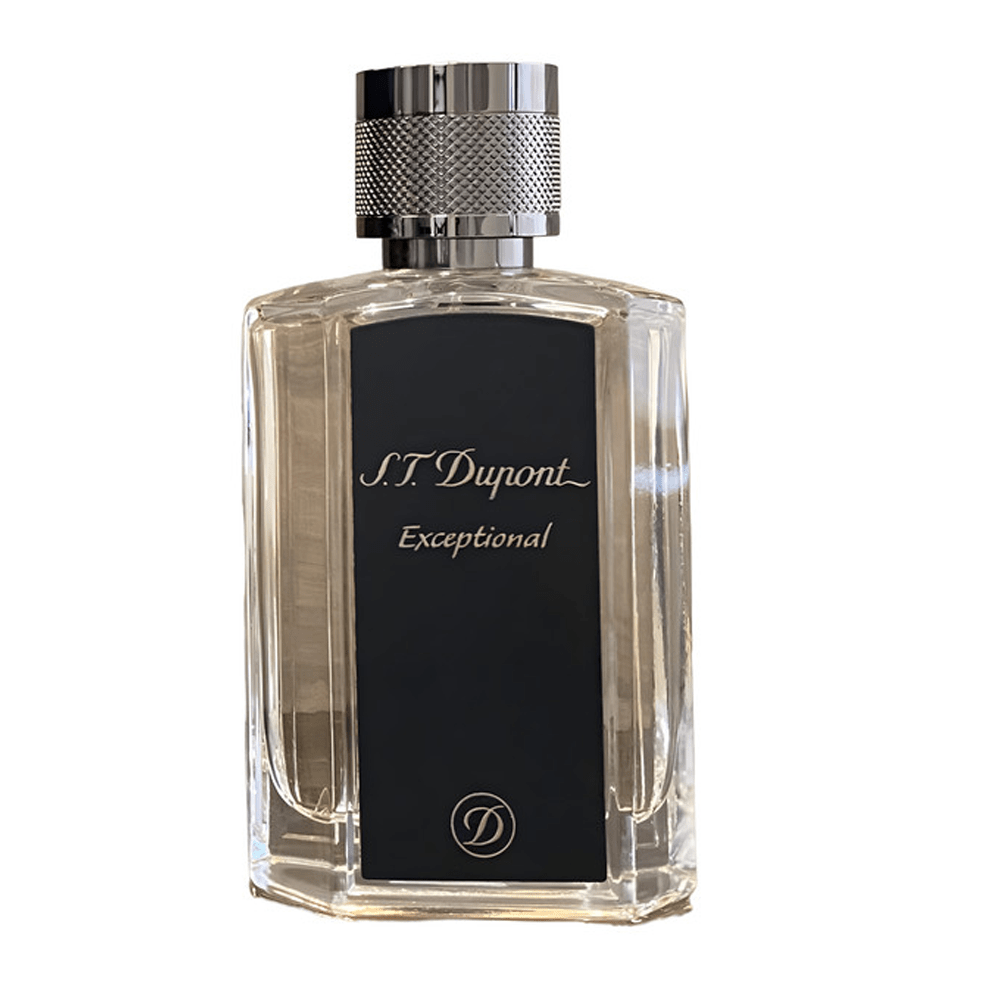 عطر اكسبشنال من اس تي ديبونت للرجال - او دو برفيوم |  100ml