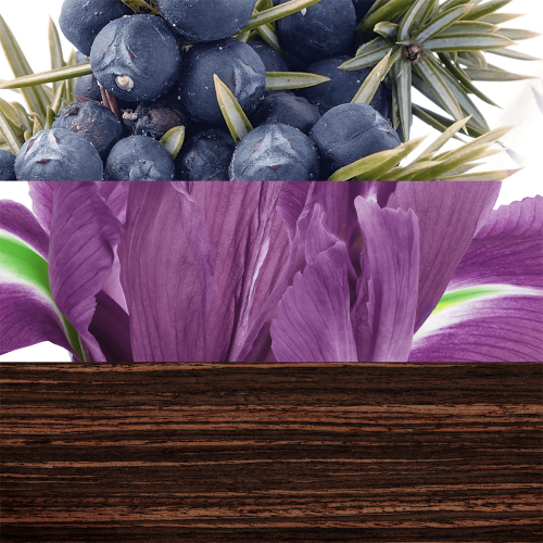 عطر ذا قيم من دافيدوف للرجال - او دي تواليت |  100ml