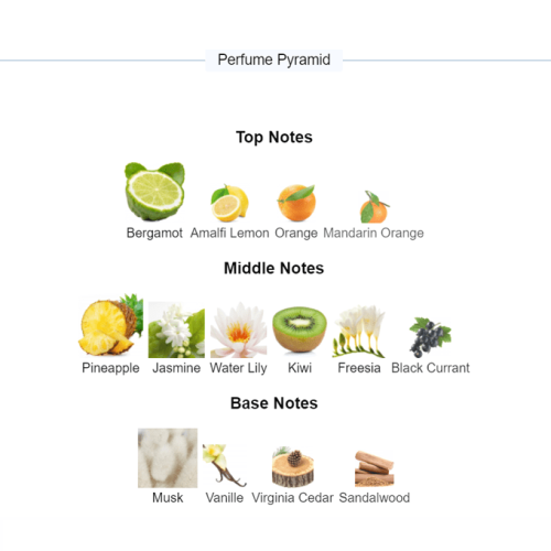 عطر ايموشن من رصاصي للنساء - او دو برفيوم |  50ml