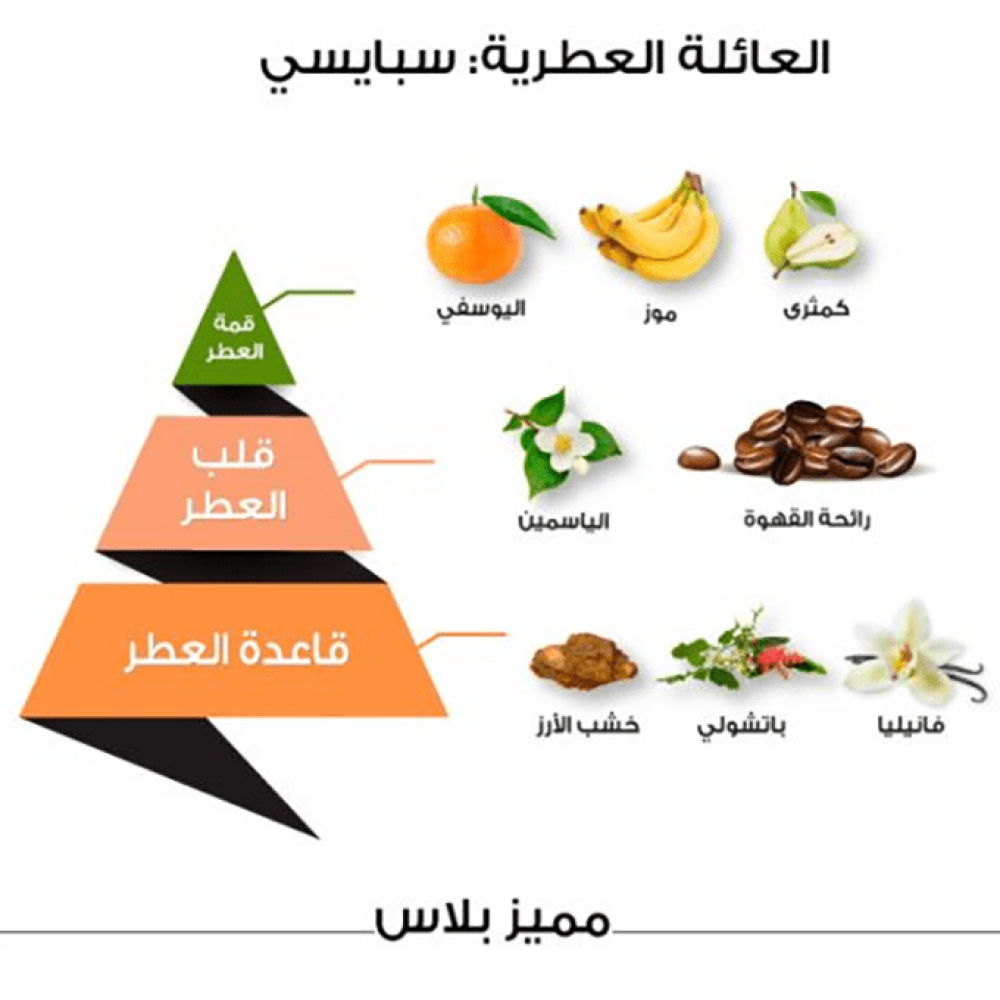 عطر مميز بلس كلاسيك من الماجد للعود - او دي بارفيوم |  100 ml