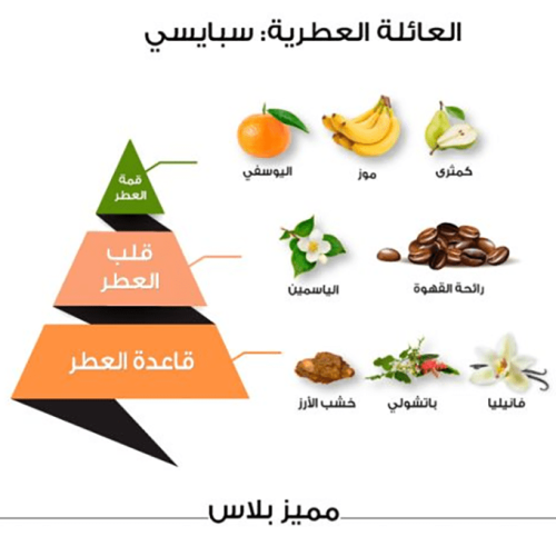 عطر مميز بلس كلاسيك من الماجد للعود - او دي بارفيوم |  100 ml