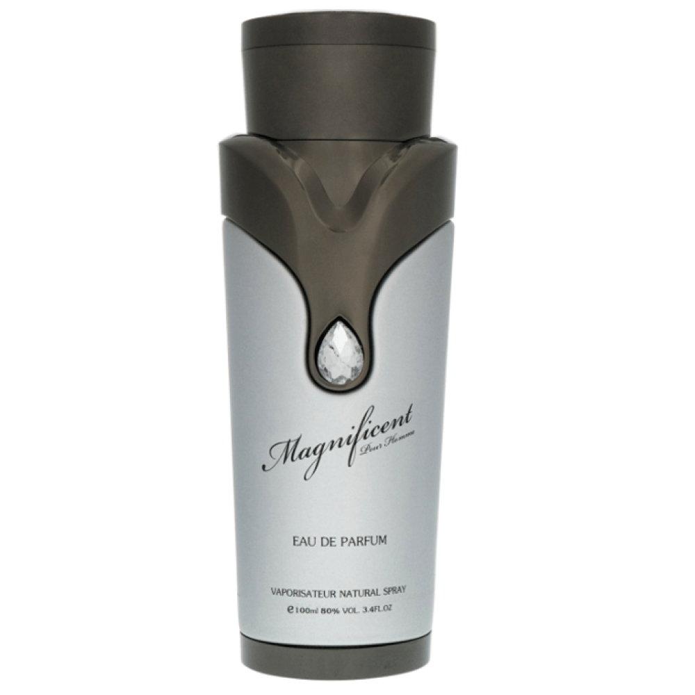 ارماف - ماجنيفيسنت بور هوم للرجال - او دي بارفيوم 100 مل