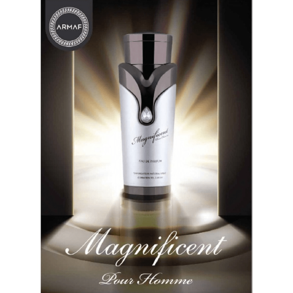 ارماف - ماجنيفيسنت بور هوم للرجال - او دي بارفيوم 100 مل