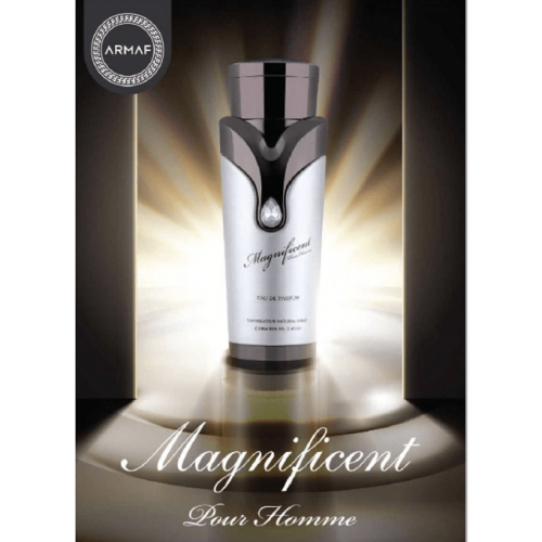 ارماف - ماجنيفيسنت بور هوم للرجال - او دي بارفيوم 100 مل