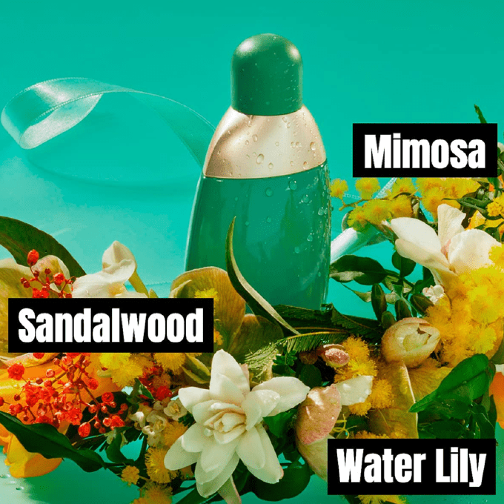 عطر ادن من كاشريل للنساء - 50مل - او دي بارفيوم | عطر ادن من كاشريل للنساء - 50مل - او دي بارفيوم |