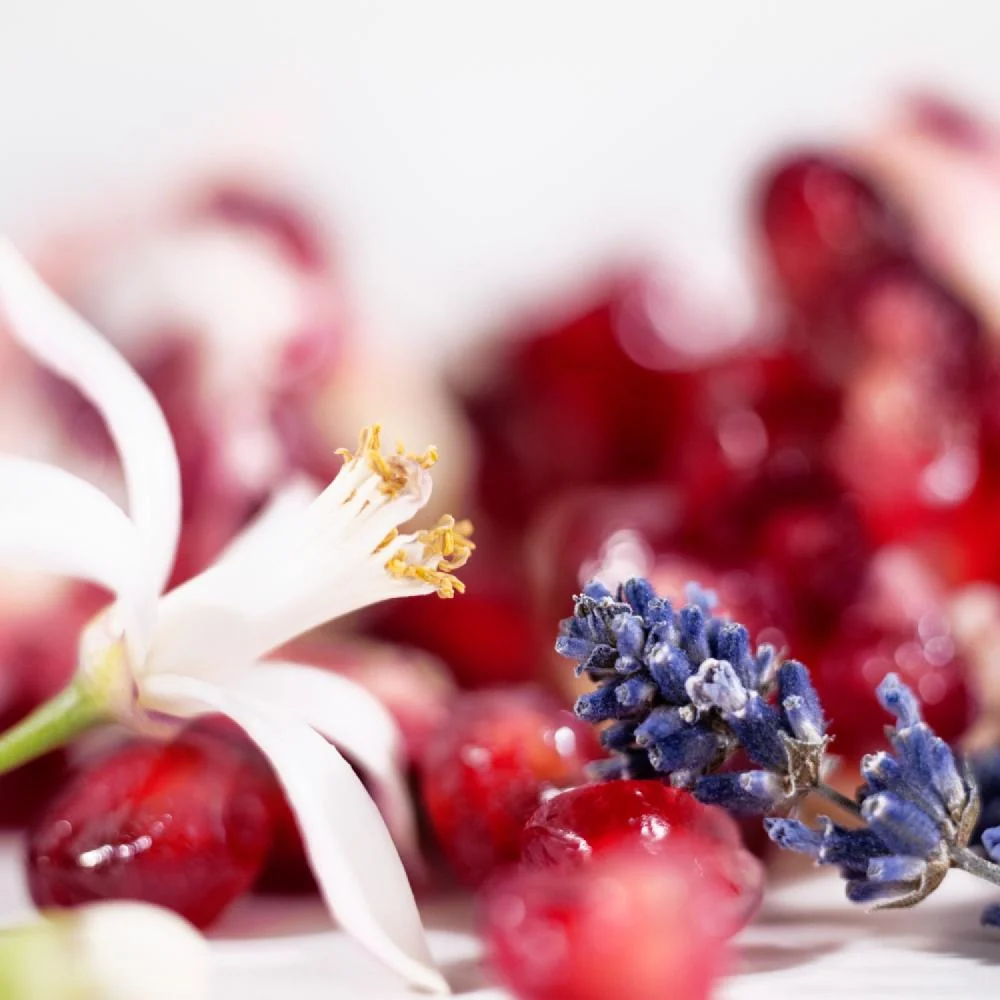 ايف سان لوران عطر الشعر ليبر للنساء - 30مل |