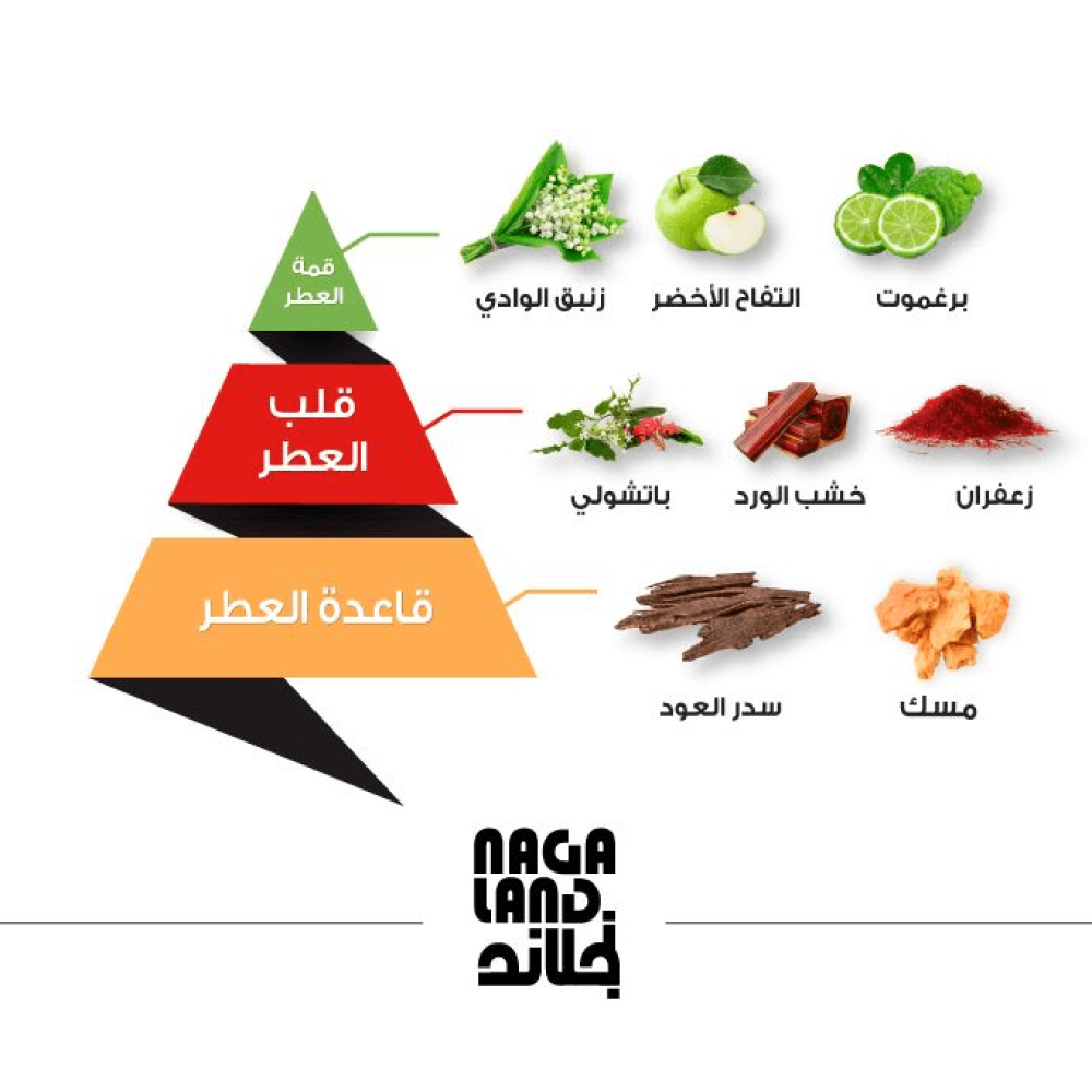 عطر نجلاند من الماجد للعود - او دو برفيوم | 50 ml عطر نجلاند من الماجد للعود - او دو برفيوم | 50 ml