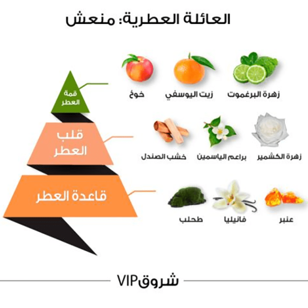 الماجد للعود عطر شروق في اي بي كلاسيك للنساء - او دي بارفيوم | 100ml الماجد للعود عطر شروق في اي بي كلاسيك للنساء - او دي بارفيوم | 100ml