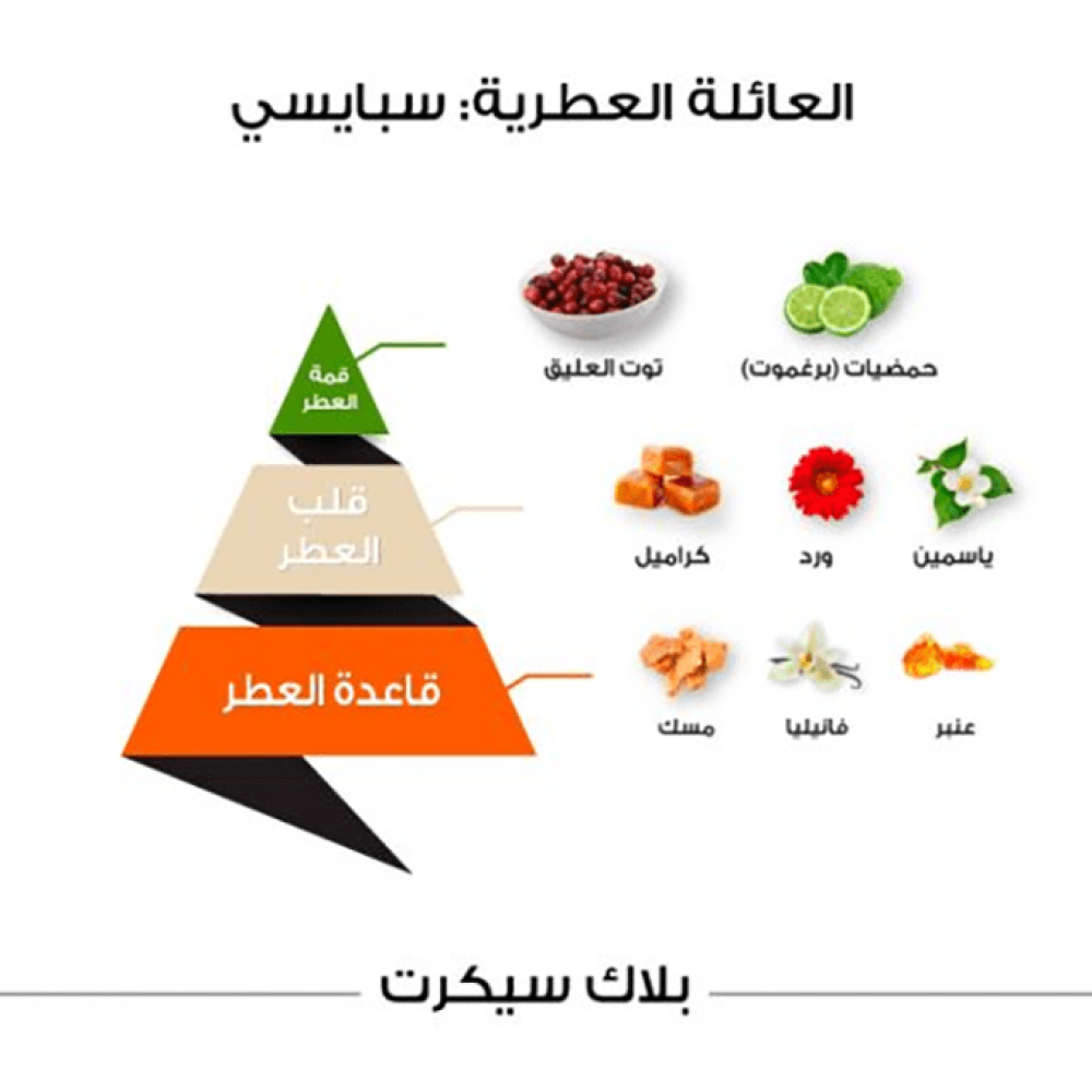 عطر بلاك سيكرت كلاسيك من الماجد للعود - او دي بارفيوم | 100 ml عطر بلاك سيكرت كلاسيك من الماجد للعود - او دي بارفيوم | 100 ml