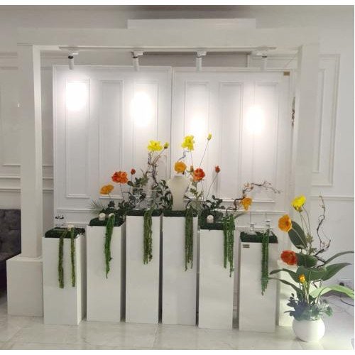 استقبال خلفيات بانوه مع طاولات مع اضاءه