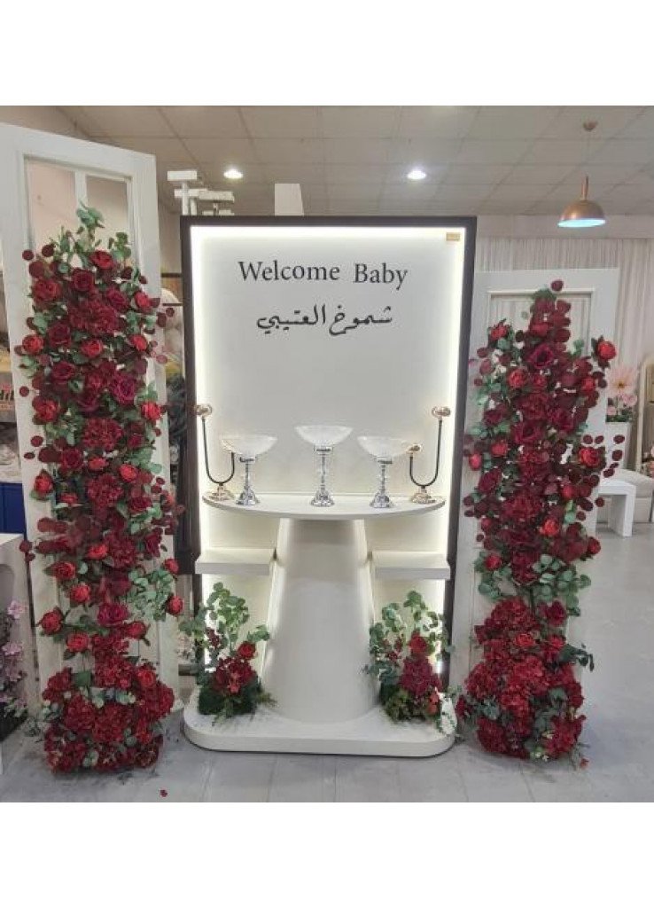 استقبال مواليد قطعه مع خلفيه شباك 2