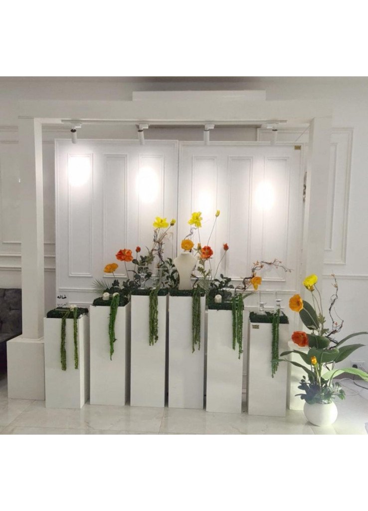 استقبال خلفيات بانوه مع طاولات مع اضاءه استقبال خلفيات بانوه مع طاولات مع اضاءه