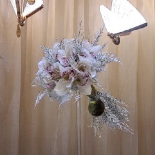 مسكة عروس سيلفر ب 350 ريال