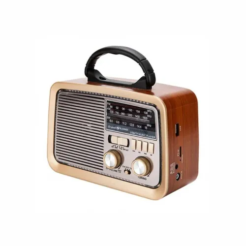 راديو و سبيكر HiFi كلاسيكي من DENX - موديل DX2432