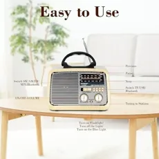 راديو و سبيكر HiFi كلاسيكي من DENX - موديل DX2432 راديو و سبيكر HiFi كلاسيكي من DENX - موديل DX2432