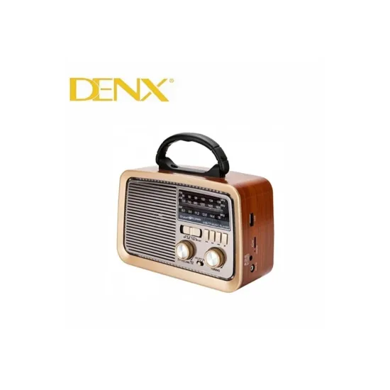 راديو و سبيكر HiFi كلاسيكي من DENX - موديل DX2432
