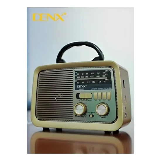 راديو و سبيكر HiFi كلاسيكي من DENX - موديل DX2432