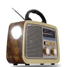 راديو و سبيكر HiFi كلاسيكي من DENX - موديل DX2432 راديو و سبيكر HiFi كلاسيكي من DENX - موديل DX2432