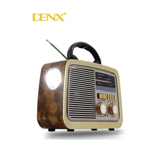 راديو و سبيكر HiFi كلاسيكي من DENX - موديل DX2432