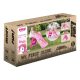 يونيكورن معدات ملعب أطفال – مثالي للاستخدام اليومي في المدرسة أو المنزل أو المكتب