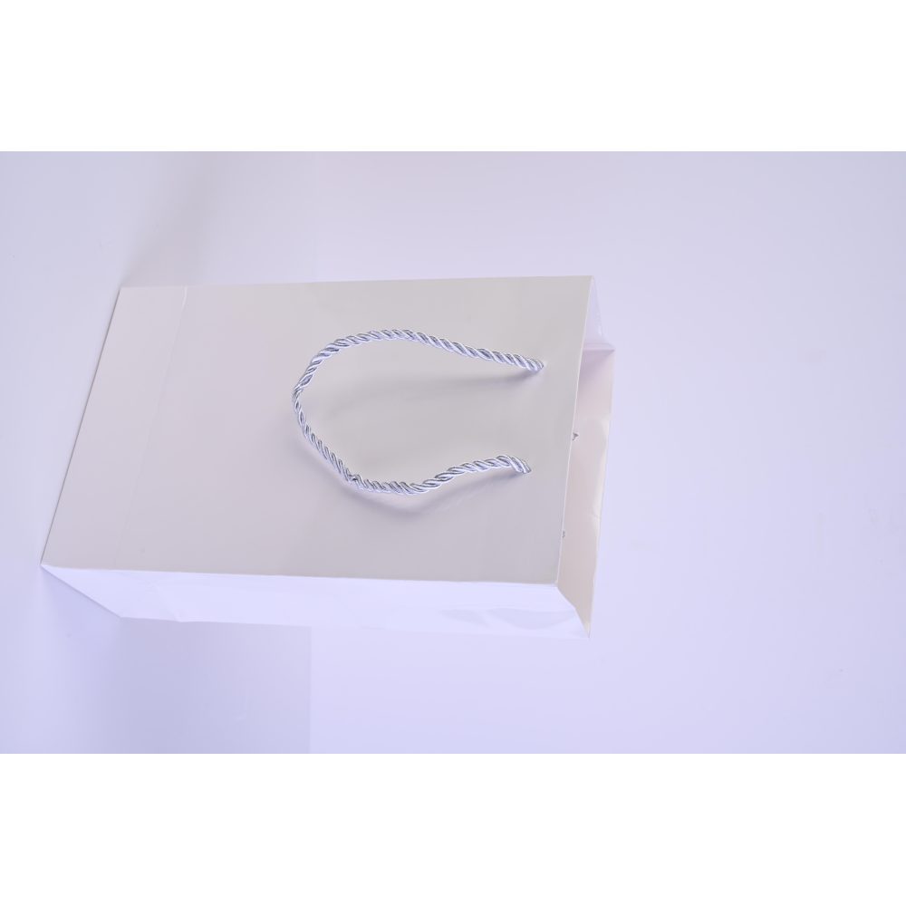 كلاس كيس هدايا 25cm - 16×7.5 سم – مثالي للذهاب إلى المدرسة والتنقل اليومي وحمل الأغراض - طقم من 12 قطعة