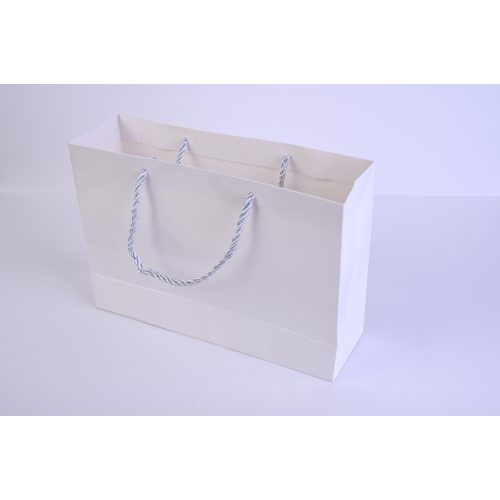 كلاس كيس هدايا 25cm - 17.5×7.5 سم – مثالي للذهاب إلى المدرسة والتنقل اليومي وحمل الأغراض - طقم من 12 قطعة