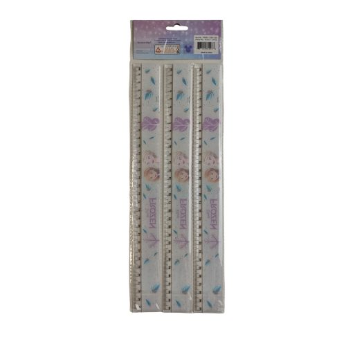 فروزن مسطرة 30cm – مثالي لأعمال المكتب والمشاريع المدرسية ومهام المكتب اليومية - طقم من 12 قطعة