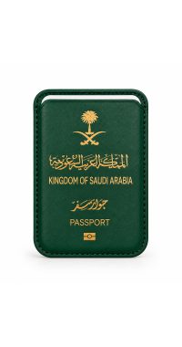Magnetic card case