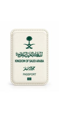 Magnetic card case