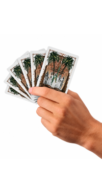 Playing cards